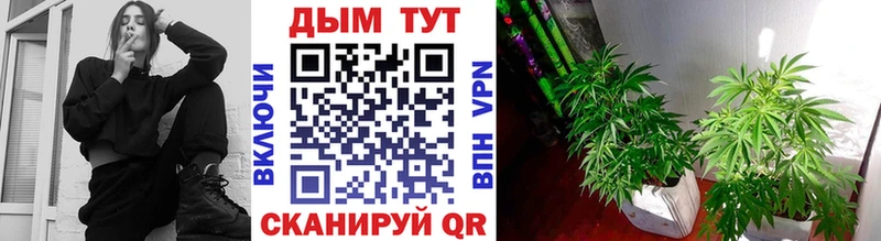 Марихуана марихуана Ростов